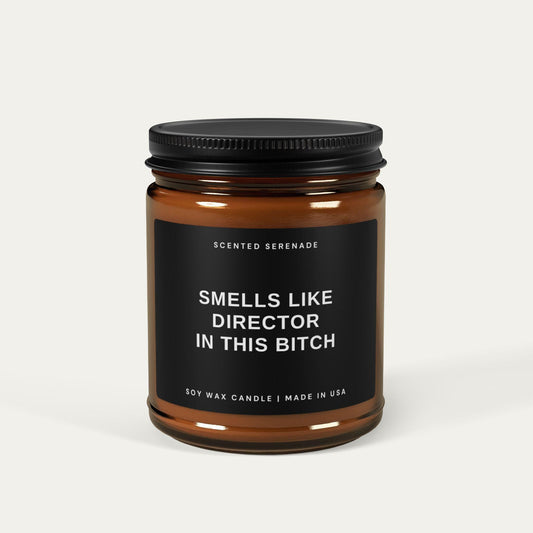 Funny Director Candle, Gift for Director, Film Director, Film Major Gift, Graduation Gift, New Director Gift