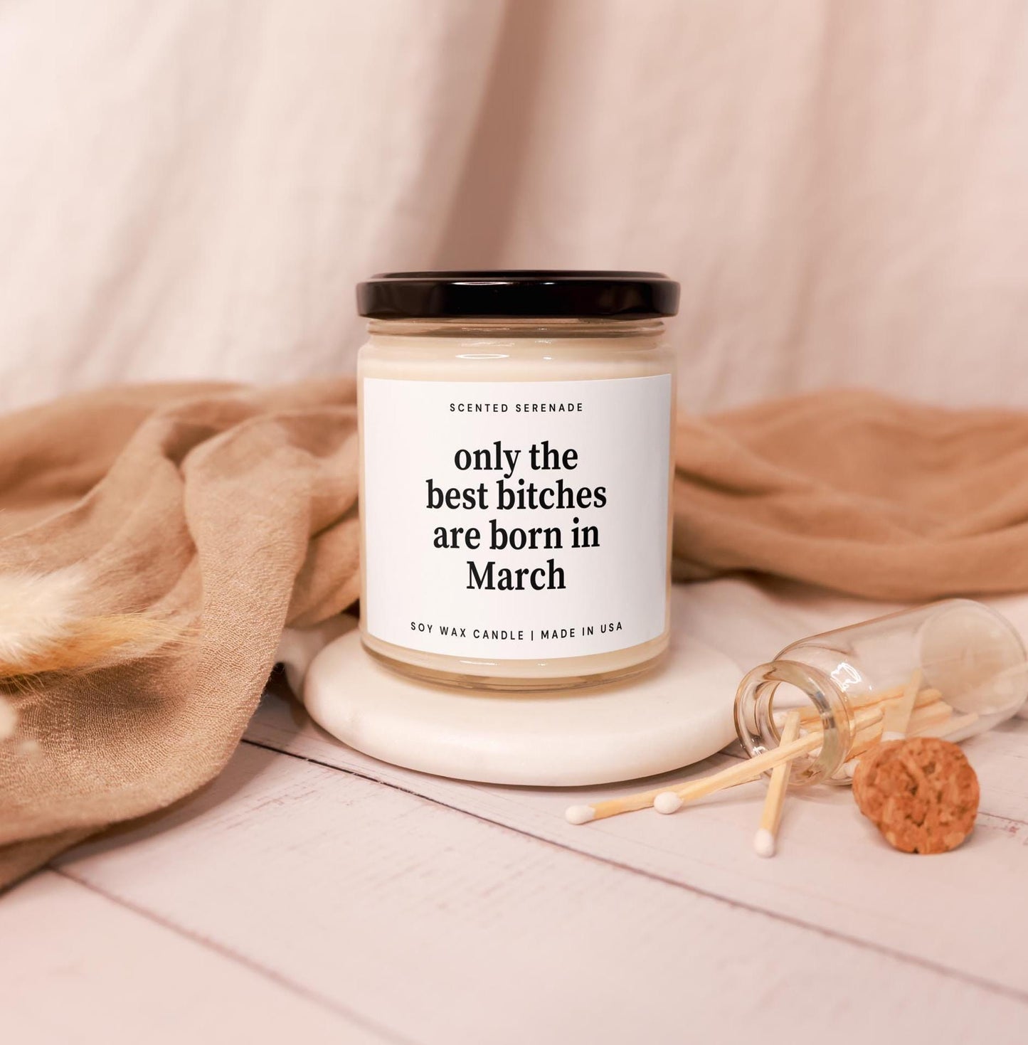 Best Bitches Born in March, Funny Birthday Candle Gift, Pisces Aries Gifts, Birthday Gifts for Her, Best Friend Birthday, Zodiac Candle