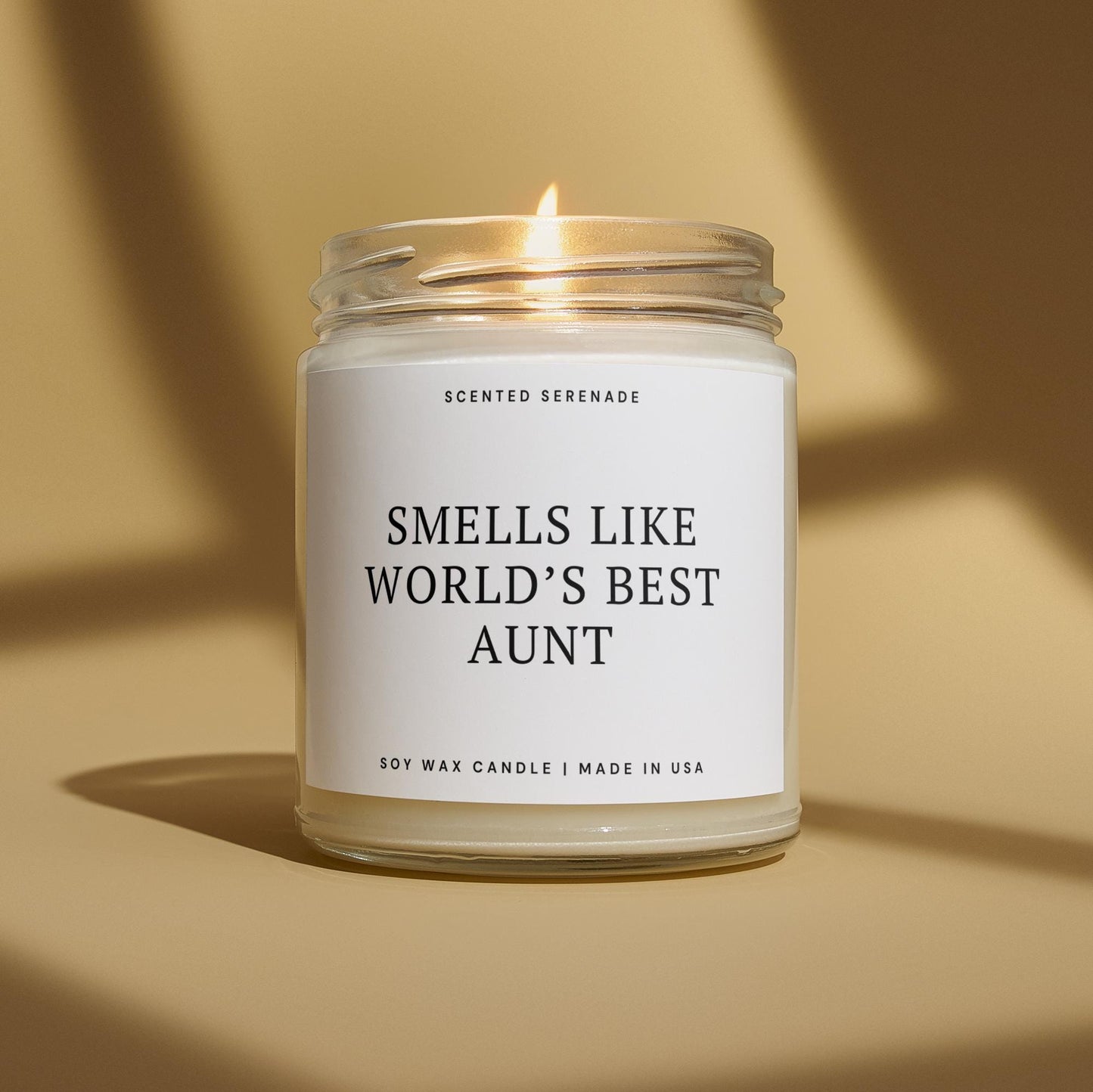 Worlds Best Aunt Candle, Funny Aunt Gift Ideas, New Aunt Gift, Mothers Day Gift for Aunt, Aunt Presents, Aunt Presents