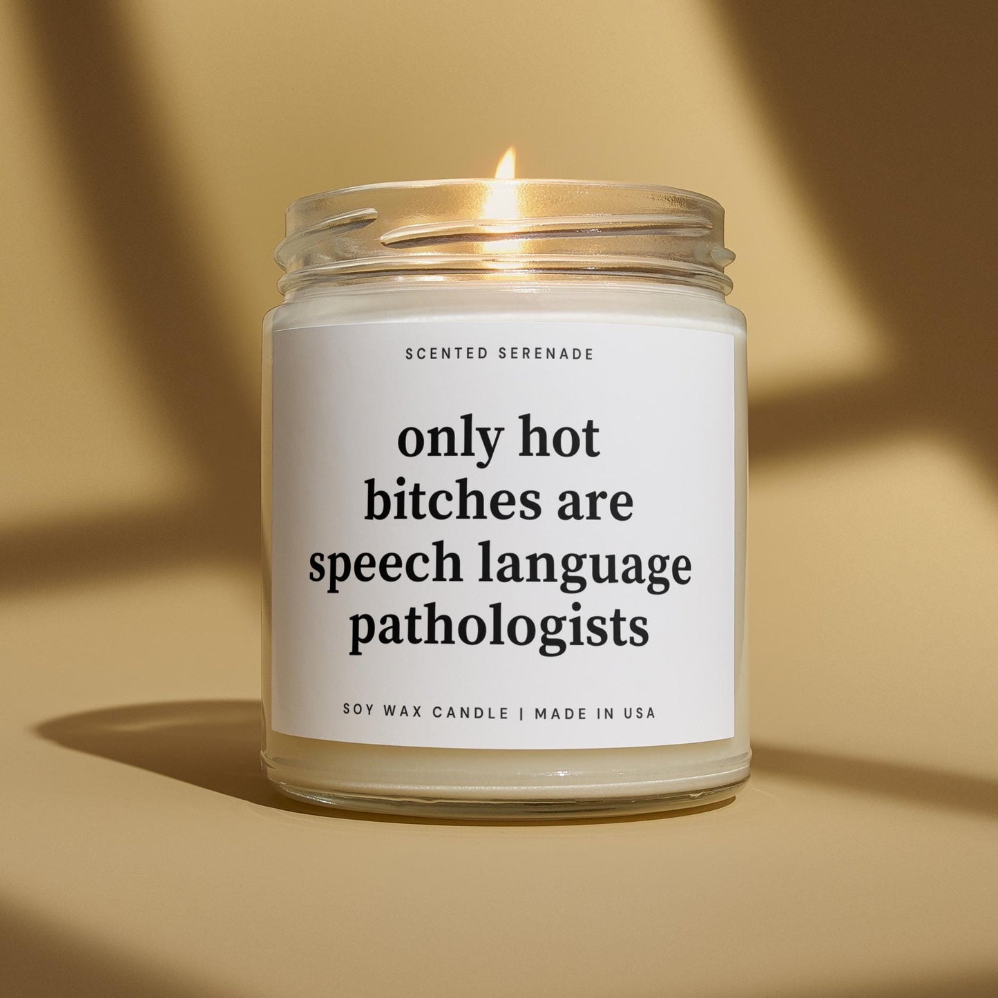 Funny Speech Language Pathologists Candle, SLP Gift, Gift for SLP, Speech Pathologist Gift, Future SLP Gift, Graduation Gift