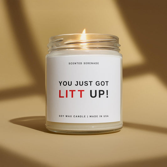 You Just Got Litt Up Candle, Funny Candle Gift, TV Show Quote, TV Lover Gift