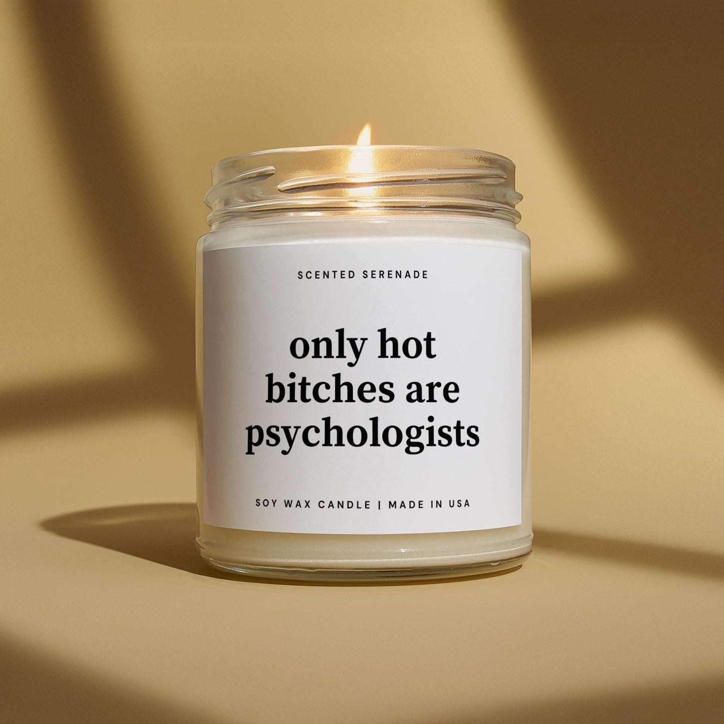Hot Bitches are Psychologists Candle, Psychologist Gift, School Psych Gift,  Psychology Graduation Gift, Psych Major Gifts